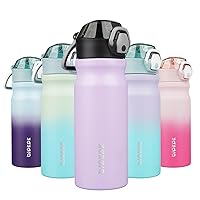 BJPKPK Water Bottle With Straw 18oz Insulated Water Bottles Reusable Stainless Steel Metal Thermos With Leak Proof Lockable Lid And Carry Handle,Iceberg