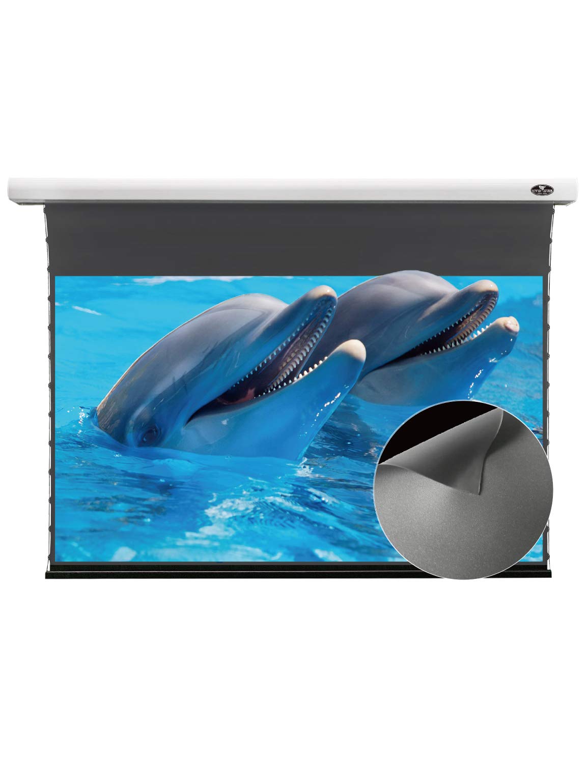 VIVIDSTORM-Projection Screen,Obsidian Long Focus ALR Slimline Motorized Office Presentation,Indoor Stand Movie Screen,Compatible with Lumen up to 2...