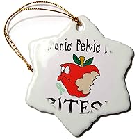 3dRose Funny Awareness Support Cause Chronic Pelvic Pain Mean Apple - Ornaments (orn-120500-1)