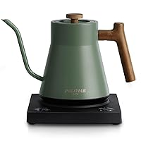 DmofwHi 1000W Gooseneck Electric Kettle (1.0L),100% Stainless Steel BPA  Free Tea Kettle with Auto Shut - Off Protection, Pour Over Coffee Kettle