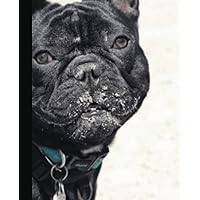 Kiwi The Frenchie at the Beach Notebook | 120 College-Ruled Pages | 7.5