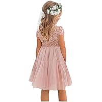 2Bunnies Girl Paisley Lace Back A-Line Straight Tutu Tulle Party Flower Girl Dress
