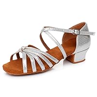 HIPPOSEUS Girls' Standard Latin Dance Shoes Low Heel 3.5CM,Model U1203
