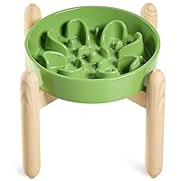 LE TAUCI Ceramic Slow Feeder Dog Bowls Elevated for Small and Medium Breed, Dog Bowls with Wooden Stand, 1.5 Cups Dog Dishes to Slow Down Eating, Anti-Gulping Pet Feeding Dishes, Clover Green