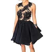 Black Sheer Lace Applique Top Chiffon Bottom Skater Cocktail Dress