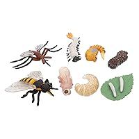 2 Sets Simulation Growth Cycle Life Cycle of a Kit Play Figure Playsets Life Cycle Figurine Growth Model Animal Model Decorations Life Stages Fake Bugs Plastic Child Suite