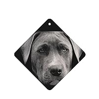 Pit Bull 2-Piece Set Of Car Aromatherapy Tablets, Suitable For Car Interiors, Bedrooms, And Bathrooms Square