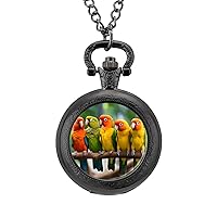 Colour of Conures Vintage Alloy Pocket Watch with Chain Arabic Numerals Scale Gifts for Men Women