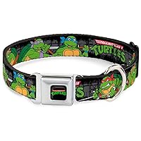Seatbelt Buckle Dog Collar - Classic TMNT Group Pose4 in Sewer/TMNT Logo - 1