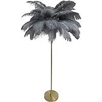 for Living Room, Modern Standing Real Ostrich Feather Lamps, Stepless Golden Pole Floor LED Lights, 3 Dimmable Lights Temperatures, Elegant Design for Corner, Bedroom, Living Room