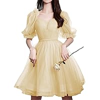 Sweetheart Tulle Homecoming Dresses for Teens Short Prom Dress Juniors 2024 Puffy Sleeves Cocktail Dress