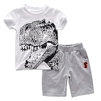 Toddler Boy Clothes Cartoon Cotton Summer Short Sleeve T-Shirt and Shorts Kids Outfit Set 2-7 Year