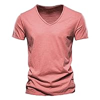 V Neck T Shirts for Men Summer Short Sleeve Casual Slim Fit Cotton Muscle Beach Shirts Athletic Performance Shirt
