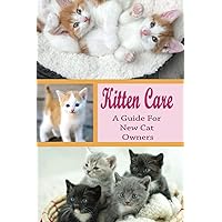 Kitten Care: A Guide for New Cat Owners: How Do You Take Care Of A Kitten For Beginners?