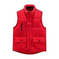 Plus Size Womens Quilted Puffer Vest Stand Collar Lightweight Button Zip Up Padded Gilet with Pockets Warm Waistcoat