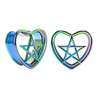 COOEAR 1 Pair Stainless Steel Gauges For Ears Double Flared Piercing Tunnels Notched Plugs Stretchers 0g to 1 Inch.