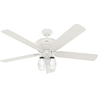 Hunter Fan Company 50946 Grantham Ceiling Fan, 60, Fresh White