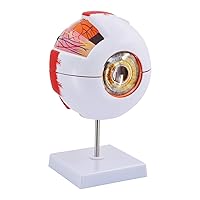 Eye Anatomy Model, 6X Enlarged Eyeball Model, Human Eye Anatomical Model for Science Education Students Study Display Medical Teaching, with Removable Stand