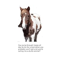 Blank Notecard - Horse - Dumb Animal
