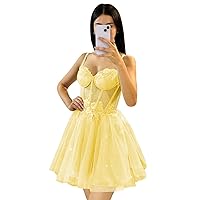 Short Prom Dresses Sweetheart Tulle Homecoming Dresses Appliques A Line Corset Mini Party Dress