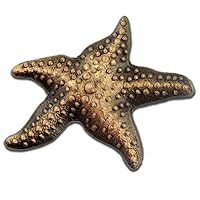PinMart's Starfish Lapel Pin on Starfish Story Card Make A Profound Difference Gift