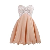 Women Short Prom Evening Gown Lace Chiffon Homecoming Dresses