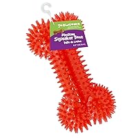 Gnawsome 6.5” Spiky Squeaker Bone Dog Toy - Medium, Cleans Teeth and Promotes Dental and Gum Health for Your Pet, Colors will vary