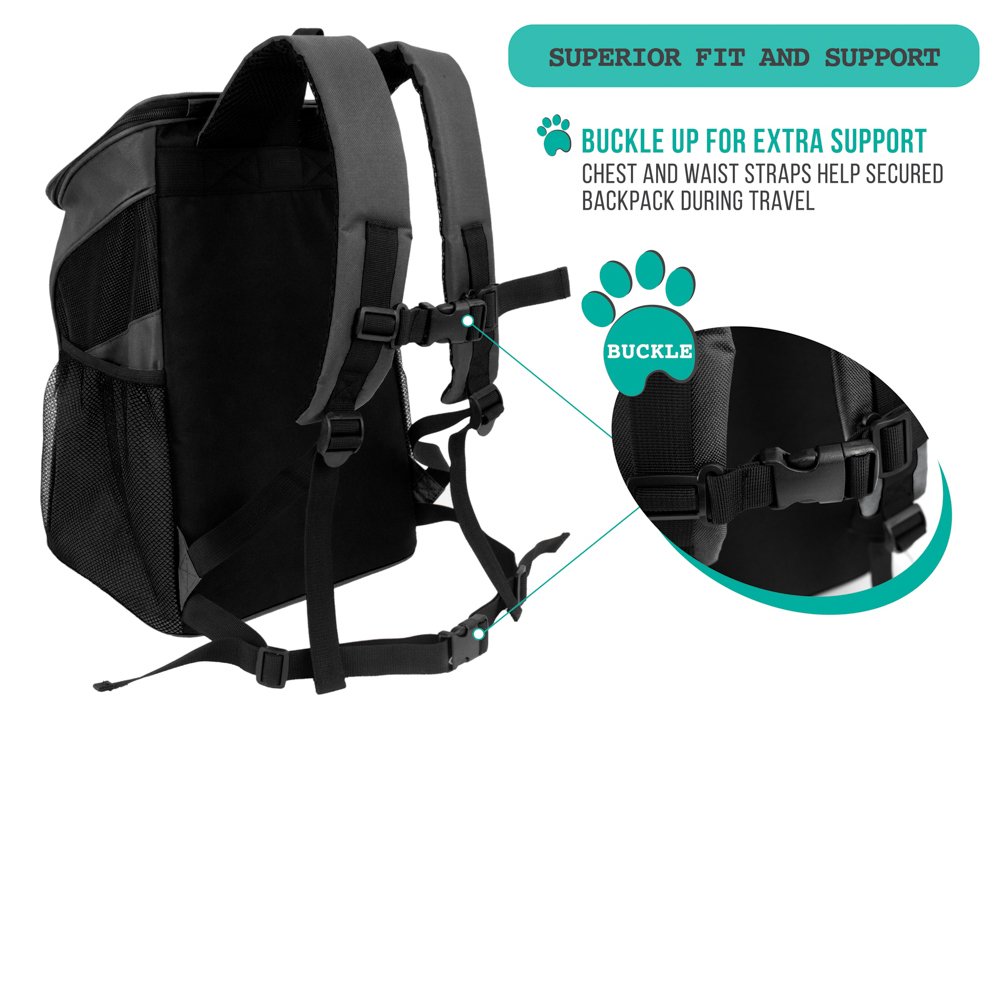 PetAmi Premium Pet Carrier Backpack for Small Cats and Dogs | Ventilated Design, Safety Strap, Buckle Support | Designed for Travel, Hiking & Outdoor Use