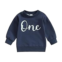 First Birthday Boy Outfit Baby Boy Crewneck Sweatshirt One Year 1st Birthday Outfit Cute Fall Winter Clothes
