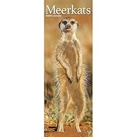 Meerkats Slim Calendar 2020
