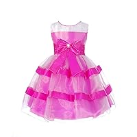 Dressy Daisy Girls' Rhinestone Stripe Shimmery Organza Taffeta Flower Girl Dress
