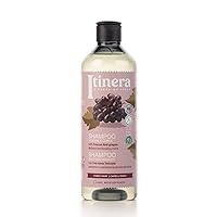 Volume & Curls Shampoo with Tuscan Red Grapes (12.51 fl oz) - for Defined and Bouncy Curls - Vegan Friendly - 95% Natural Origin Ingredients