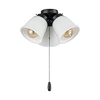 Aspen Creative 22012-2, Three-Light Ceiling Fan Light Kit with Pull Chain, Matte Black Finish with Frosted Glass Shades, 13