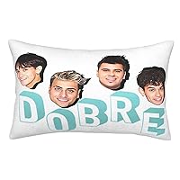 Dobre Brothers Pillow Case Cover Soft Rectangular Pillowcases Cushion Home Decorative for Couch Sofa Bed Car Waist 14