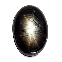 18.11 Ct. Big Natural Oval Cabochon Black Star Sapphire Thailand 6 Rays Loose Gemstone