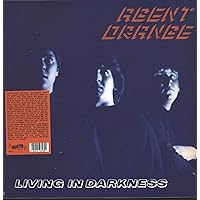 Living In Darkness Living In Darkness Vinyl Audio CD