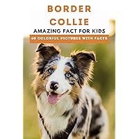 Border Collie: Amazing Fact for Kids (Picture Book) (This Wonderful Planet) Border Collie: Amazing Fact for Kids (Picture Book) (This Wonderful Planet) Paperback