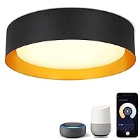 Depuley 30W Smart WiFi LED Flush Mount Ceiling Light, APP Remote Control with Alexa, Google Smart Home Lighting, 15in Modern Dimmable Voice Control Light Fixture for Living Room, Bedroom, Kitchen