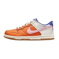 Nike Dunk Low SE Big Kids' Shoes (FJ2686-100, Summit White/Black/Playful Pink/Light Armory Blue)