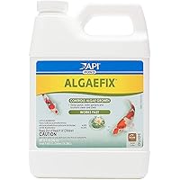 API POND ALGAEFIX Algae Control 32-Ounce Bottle, FISHAQUARI (169G)