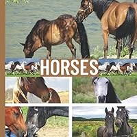 HORSES Toddler Books About Horses: Wordless Picture Books for Toddlers, Preschool, Homeschool, Adults HORSES Toddler Books About Horses: Wordless Picture Books for Toddlers, Preschool, Homeschool, Adults Paperback