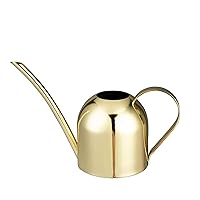 IMEEA Gold Watering Can House Watering Can for Indoor Plants Orchid Bonsai Desk Office Stainless Steel Watering Can with Long Spout, 15oz/450ml