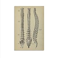 XIAOHUANG Spinal Degeneration Clinic, Hospital Wall Decoration Poster (1) Canvas Poster Bedroom Decor Office Room Decor Gift Unframe-style 20x30inch(50x75cm)