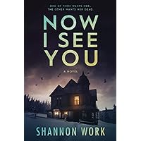 Now I See You (Mountain Resort Mystery series)