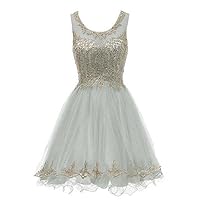 Short Cocktail Party Dresses for Women Tulle Gold Appliques Prom Gowns Grey,18W