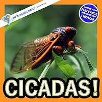 Cicadas!: A My Incredible World Picture Book for Children (My Incredible World: Nature and Animal Picture Books for Children) Cicadas!: A My Incredible World Picture Book for Children (My Incredible World: Nature and Animal Picture Books for Children) Paperback Kindle