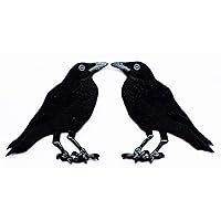 Set 2 Pcs American Black Crow Raven Birds Kids Cartoon Iron on Patch Embroidered Patch Supplies for Jacket Bags Jeans Backpack Clothes DIY