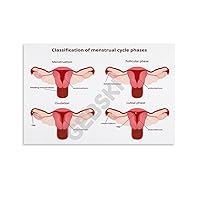 Classification of Menstrual Cycle Phases Women's Womb Health Poster Gynecological Poster Canvas Painting Posters And Prints Wall Art Pictures for Living Room Bedroom Decor 08x12inch(20x30cm) Unframe-