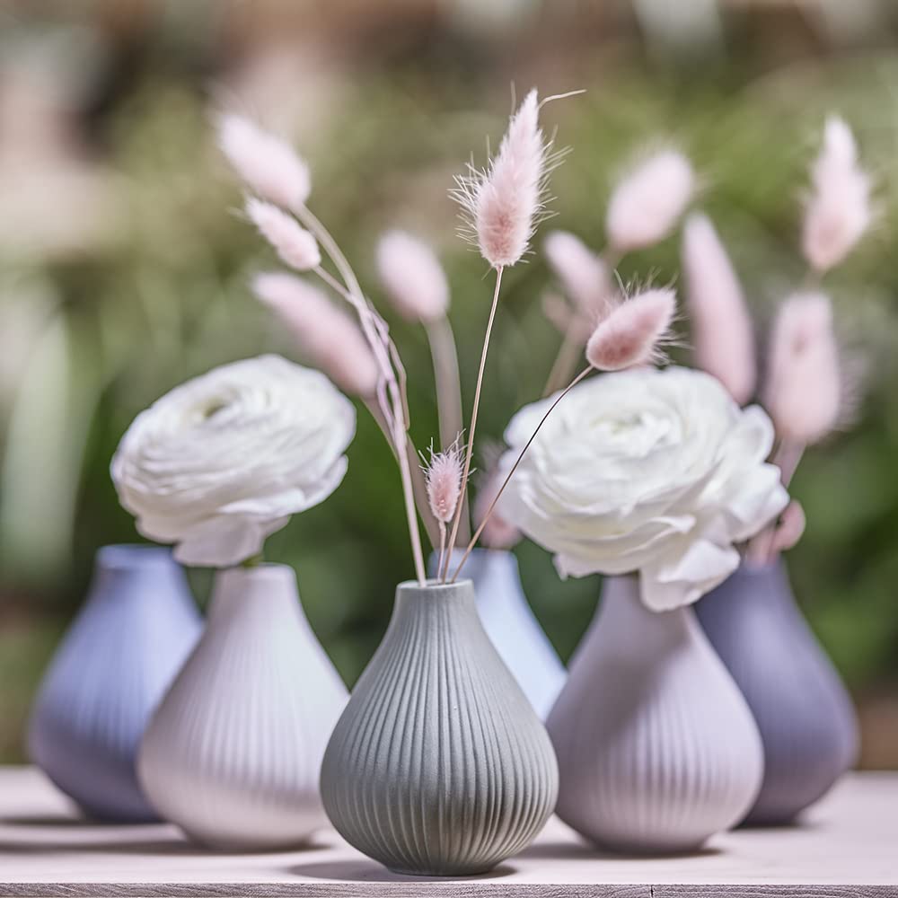 Chive ‘Frost’ Ceramic Flower Vase — Set of 6 Beautiful Small Bud Vases for Flowers & House Plants — Perfect Shelf Centerpieces and Living Room Decor — Assorted Colors