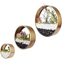 Ecosides Round Indoor Wall Succulent Hanging Planter, Metal Decorative Freestanding Mount Holder with Glass for Air Plants, Faux Flower,Set of 3 (Gold)